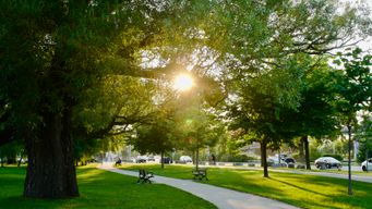 Hundreds gather in Wicker Park day of community clean up, sustainability markets