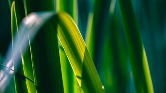 7 Critical Sustainability Conversations Happening in June