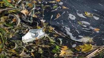 Dutch Ocean Cleanup Team Targets LA Rivers Ahead of the 2028 Olympics