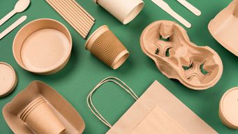 Can Sustainable Alternatives Finally Break Plastic's Grip on the Global Economy?