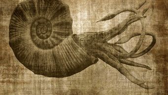 Conveniently evolve enabled.