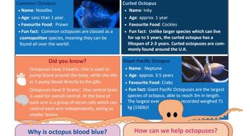 Post showing PDF as featured media