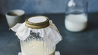 No Approved Health Claims for Kéfir