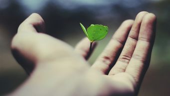 The green EmpCo clock is ticking … what businesses need to know now