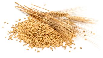 Jumping on the fibre maxing trend? Bear in mind the rules on nutrition claims!