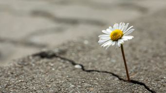 The Power of Resilience: Rising Stronger After Life’s Challenges