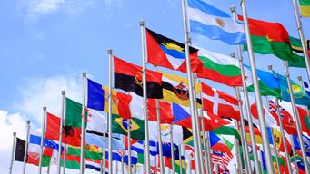 The Future of International Alliances: Navigating Diplomatic Relationships