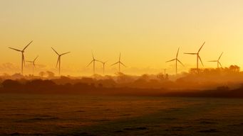 Sustainable Legal Practices: Building a Greener Judicial System