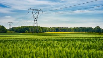 The Power Grid Passed Its Report Card. But Read the Fine Print.