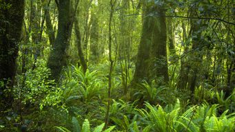 PAS-16536 external post no 1