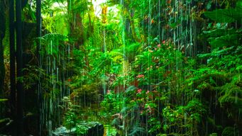 PAS-16536 external post no 2