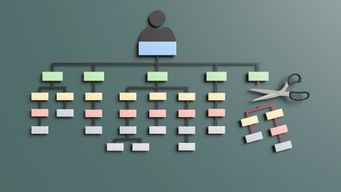 IRS Resumes Significant-Issue Rulings for Corporate Reorganizations and Spin-Offs