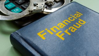 Tax Court Finds IRS Revenue Agent Liable for Civil Fraud Penalty