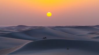 PAS-16536 internal post no 2