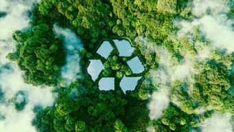 California's Recyclability Labeling Law Hits a Roadblock: California District Court Enjoins SB 343