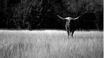 Fifth Circuit Securities Litigation Quarterly: third quarter 2025