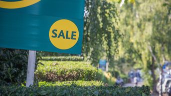 post test agency mark2