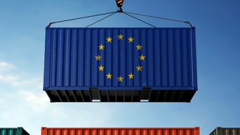 Commentary and opinionEU-UK lawyers: common values