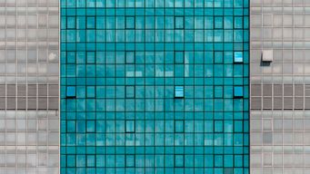 Non-financial misconduct: Beyond the Basics – Five Governance Questions That Matter