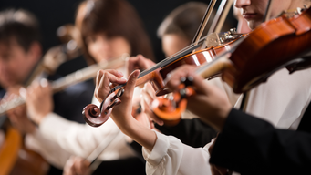 The MAC's Stage 2 review of the Temporary Shortage List: Mixed messages for the Arts