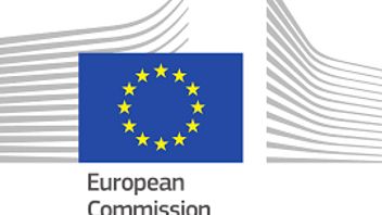 (How) will the EU shape the platform economy?