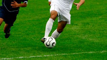 Football Index: widening the (regulatory) net