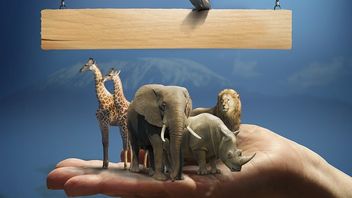 Team moves: Poached and Poacher