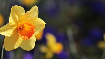 Tech bucks the trend of the recent antitrust hibernation – and now spring has sprung