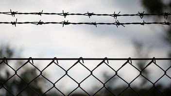 Impasse at the border - reports that EU closes off digital policy coordination with the UK government over Northern Ireland Protocol disagreements