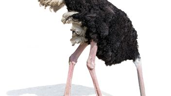 Don’t be an ostrich when it comes to AI – The podcast