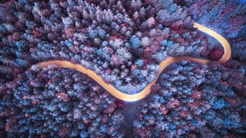 UK Transition Plan Taskforce consults on gold standard for credible climate transition plans