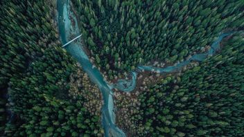 EU Taxonomy - challenges for asset managers