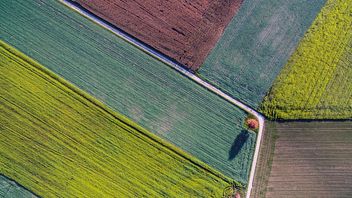 UK: ESG and debt capital markets