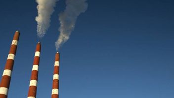 ECB’s quantitative easing programme challenged before Belgian Courts for “fuelling the climate crisis”