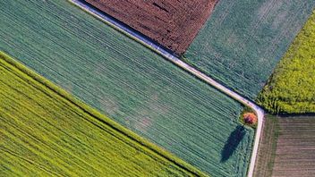 UK government consults on mandatory climate disclosures for publicly quoted companies, large private companies and LLPs