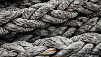 EU proposal for a regulation to ban products made with forced labour - “Human rights are not for sale – at any price”