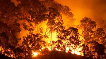 Guidance on PRA’s expectations on approach to managing climate related financial risks - UK