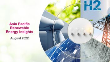 Asia Pacific Renewable Energy Insights