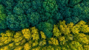 Super-batteries – a look at Ofgem’s new cap and floor regime