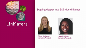 Digging deeper into E&S due diligence