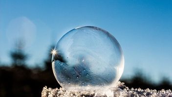 "Tectonic shift" to sustainability will continue, says Larry Fink's CEO letter.