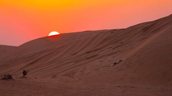 The Middle East: COP26 and the journey to net zero