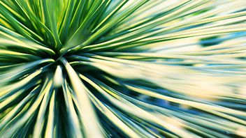 Current EU developments relating to the circular economy - Linklaters