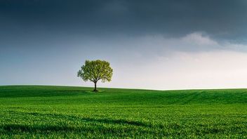 Call for Evidence on UK Green Finance Strategy