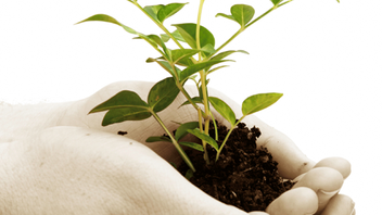 The growth of climate litigation: what does it mean for UK pension schemes?