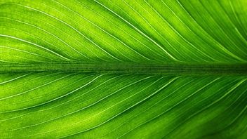US: Increasing risk of greenwashing claims underscores need for improved ESG governance