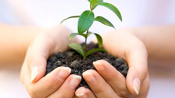 “Greenwashing” – does your investment really do what it says on the tin?