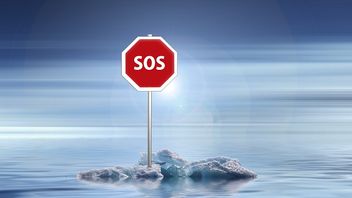 ESG disclosure regimes: back to basics