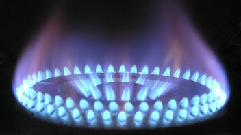 They did it again – Crisis Manager FCO allows exclusive cooperation between big German gas wholesalers