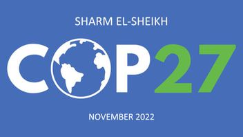 COP27 - What to expect?